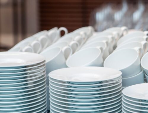 Daily Ceramic Plates: Stylish and Practical